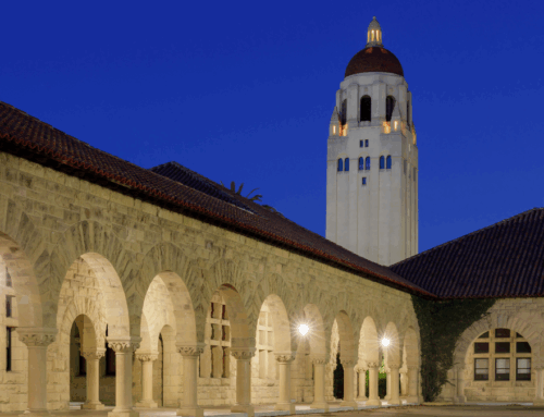 In condimentum a ipsum iaculis