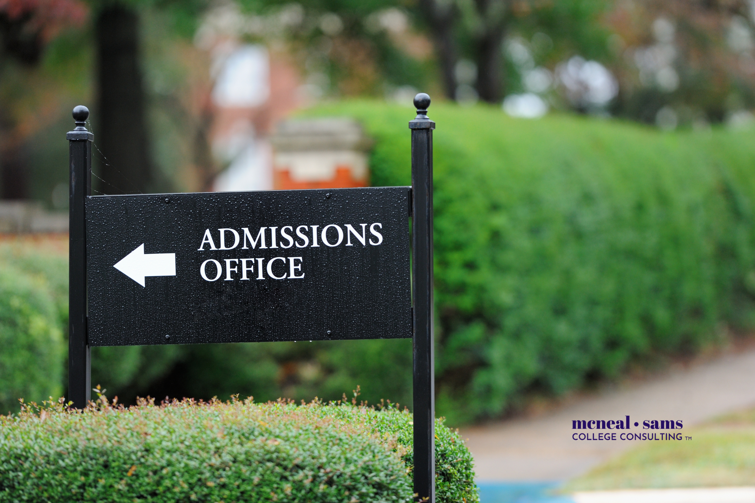 admissions process blog image