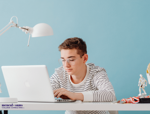 What do you need to be succcessful?